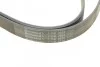 <strong>Пас поліклиновий MB Sprinter 3.0CDI OM642 CONTITECH 7PK2035 (фото 4)</strong>
