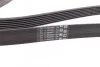 <strong>Пас поліклиновий Honda Civic 1.8i 05- / CR-V 2.0 07 CONTITECH 7PK2061 (фото 2)</strong>