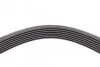 <strong>Пас поліклиновий Honda Civic 1.8i 05- / CR-V 2.0 07 CONTITECH 7PK2061 (фото 4)</strong>