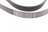<strong>Пас поліклиновий Land Rover Range Rover/Toyota Lan CONTITECH 7PK2120 (фото 2)</strong>