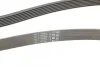 <strong>Пас поліклиновий Hyundai H-1/Starex/Kia Sorento 2 CONTITECH 7PK2283 (фото 3)</strong>