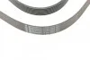 <strong>Пас поліклиновий Hyundai H-1/Starex/Kia Sorento 2 CONTITECH 7PK2283 (фото 4)</strong>
