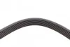 <strong>Ремінь поліклиновий Mitsubishi Pajero 3,8i 06> ContiTech CONTITECH 7PK2418 (фото 3)</strong>