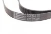 <strong>Пас поліклиновий Ford Transit 2.4 TDCI 00-06 CONTITECH 7PK2710 (фото 2)</strong>