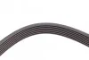 <strong>Пас поліклиновий Ford Transit 2.4 TDCI 00-06 CONTITECH 7PK2710 (фото 4)</strong>