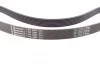 <strong>Пас поліклиновий Ford Transit 2.2 TDCi 11- CONTITECH 7PK2967 (фото 2)</strong>