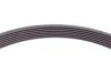 <strong>Пас поліклиновий Ford Transit 2.2 TDCi 11- CONTITECH 7PK2967 (фото 3)</strong>