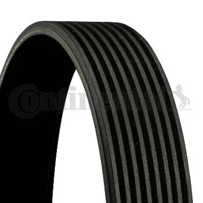 <strong>Клиновий ремінь CONTITECH 8PK1122EXTRA (фото 1)</strong>