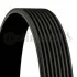 <strong>Клиновий ремінь CONTITECH 8PK1122EXTRA (фото 1)</strong>
