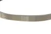 <strong>Ремінь поліклиновий CONTITECH 8PK1310EXTRA (фото 3)</strong>