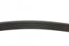 <strong>Пас поліклиновий BMW 3 (F30/F80)/5 (F10)/ X5 (F15/ CONTITECH 8PK1390 (фото 2)</strong>