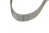 <strong>Пас поліклиновий BMW 3 (F30/F80)/5 (F10)/ X5 (F15/ CONTITECH 8PK1390 (фото 3)</strong>