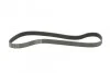 <strong>Пас поліклиновий BMW 3 (F30/F80)/5 (F10)/ X5 (F15/ CONTITECH 8PK1390 (фото 5)</strong>