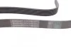 <strong>Ремінь генератора Vario OM904 CONTITECH 8PK1420 (фото 2)</strong>