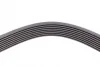 <strong>Пас поліклиновий BMW 5 (F10)/ X5 (E70/F15/F85)/X6 CONTITECH 8PK1478 (фото 4)</strong>
