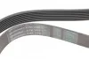 <strong>Ремінь генератора Atego OM904 CONTITECH 8PK1480 (фото 3)</strong>