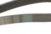 <strong>Поліклиновий ремінь CONTITECH 8PK1520 (фото 3)</strong>
