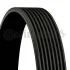 <strong>Доріжковий пас CONTITECH 8PK1850 (фото 1)</strong>