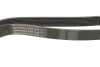 <strong>Пас поліклиновий MB Vario 613-818D 96- CONTITECH 8PK1940 (фото 2)</strong>