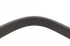 <strong>Пас поліклиновий MB Vario 613-818D 96- CONTITECH 8PK1940 (фото 3)</strong>