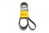 <strong>Пас поліклиновий MB Vario OM904 (+AC) CONTITECH 8PK2080 (фото 1)</strong>