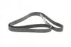 <strong>Пас поліклиновий MB Vario OM904 (+AC) CONTITECH 8PK2080 (фото 4)</strong>