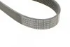 <strong>Поліклиновий ремінь MERCEDES S (W140) CLAAS ARES 3.2 03.91- CONTITECH 8PK2440 (фото 4)</strong>