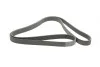<strong>Поліклиновий ремінь MERCEDES S (W140) CLAAS ARES 3.2 03.91- CONTITECH 8PK2440 (фото 5)</strong>