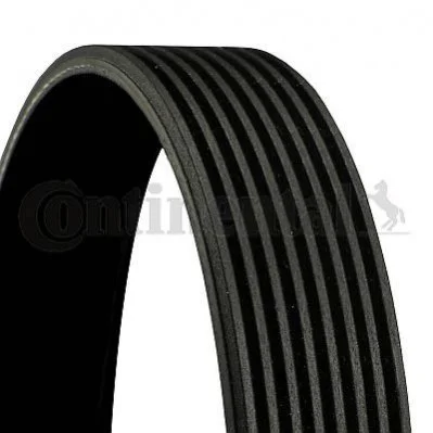 <strong>Поліклиновий ремінь MERCEDES ACTROS MP4 / MP5, ANTOS, AROCS, TOURISMO (O 350), TRAVEGO (O 580) SETRA 400, 500 471.943-OM942.911 10.99- CONTITECH 8PK2642 (фото 1)</strong>