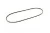 <strong>Ремень генератора 10x975 T4 1.9D/TD 07/90> CONTITECH AVX10x975 (фото 4)</strong>