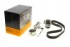 Комплект ременя ГРМ для Ford, Seat, Volkswagen, Audi, Skoda CONTITECH CT1028WP7 фото товару