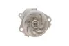 <strong>Комплект газорозподільчого механізму CONTITECH CT1106WP1 (фото 5)</strong>