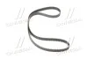 <strong>Ремінь зубчастий (довж. 60-150) CONTITECH CT1159 (фото 4)</strong>