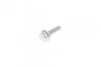 <strong>Комплект пасу ГРМ з насосом Audi A3/A4/A5/A6/Q3/VW CONTITECH CT1168WP1 (фото 23)</strong>