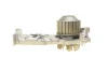 <strong>Комплект пасу ГРМ з насосом Renault Clio III/Lagun CONTITECH CT1179WP4 (фото 9)</strong>