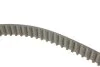 <strong>Комплект ГРМ, пас+ролик+помпа CONTITECH CT1229WP1 (фото 3)</strong>