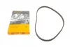 <strong>Ремень ГРМ Scudo/Jumpy 1.6i 95> CONTITECH CT605 (фото 1)</strong>
