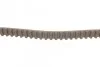<strong>Ремень ГРМ Scudo/Jumpy 1.6i 95> CONTITECH CT605 (фото 2)</strong>