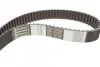 <strong>Ремень ГРМ Ducato 1.9D 94>/1.9TD 89>02 CONTITECH CT619 (фото 2)</strong>
