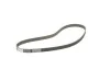 <strong>Роликовий модуль натягувача ременя (ролик, ремінь) CONTITECH CT687K1 (фото 5)</strong>
