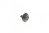 <strong>Комплект ремня ГРМ Conti CONTITECH CT881K2 (фото 9)</strong>