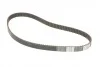 <strong>Комплект пасу ГРМ з насосом VW Caddy III/T5 2.0 Ec CONTITECH CT908WP2 (фото 4)</strong>