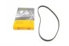 <strong>Ремінь зубчастий (довж. 60-150) CONTITECH CT927 (фото 1)</strong>