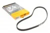 <strong>Ремень ГРМ Doblo 1.2i 01> CONTITECH CT999 (фото 1)</strong>