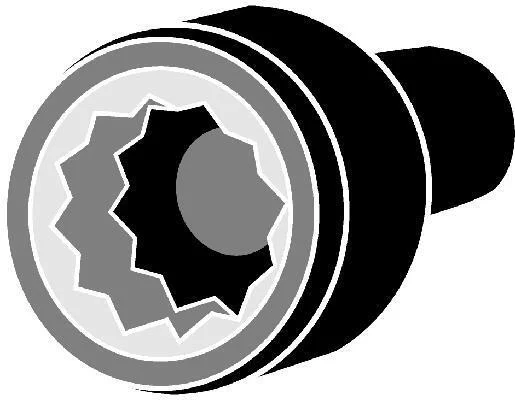 <strong>Болти головки блоку циліндрів CORTECO 016197B (фото 1)</strong>