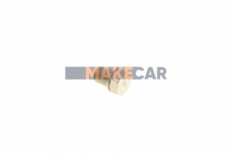 Заглушка резьбовая отверстия слива оливы VW Caddy III/ CORTECO 220061H (фото 1)
