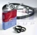 <strong>Комлект ущільнюючих кілець CORTECO 289069 (фото 1)</strong>