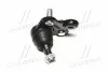 <strong>Опора шаровая (передняя/снизу) Honda CR-V III/IV 06- (17,5mm) (CBHO-44) CTR CB0129 (фото 1)</strong>