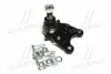 <strong>Опора шаровая (передняя/снизу) Brava/ISUZU Trooper -04 (CBIS-13) CTR CB0149 (фото 4)</strong>