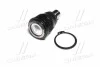 <strong>Опора шаровая (передняя/снизу) Mazda 3/6/CX-5 11- (CBMZ-50) CTR CB0294 (фото 4)</strong>